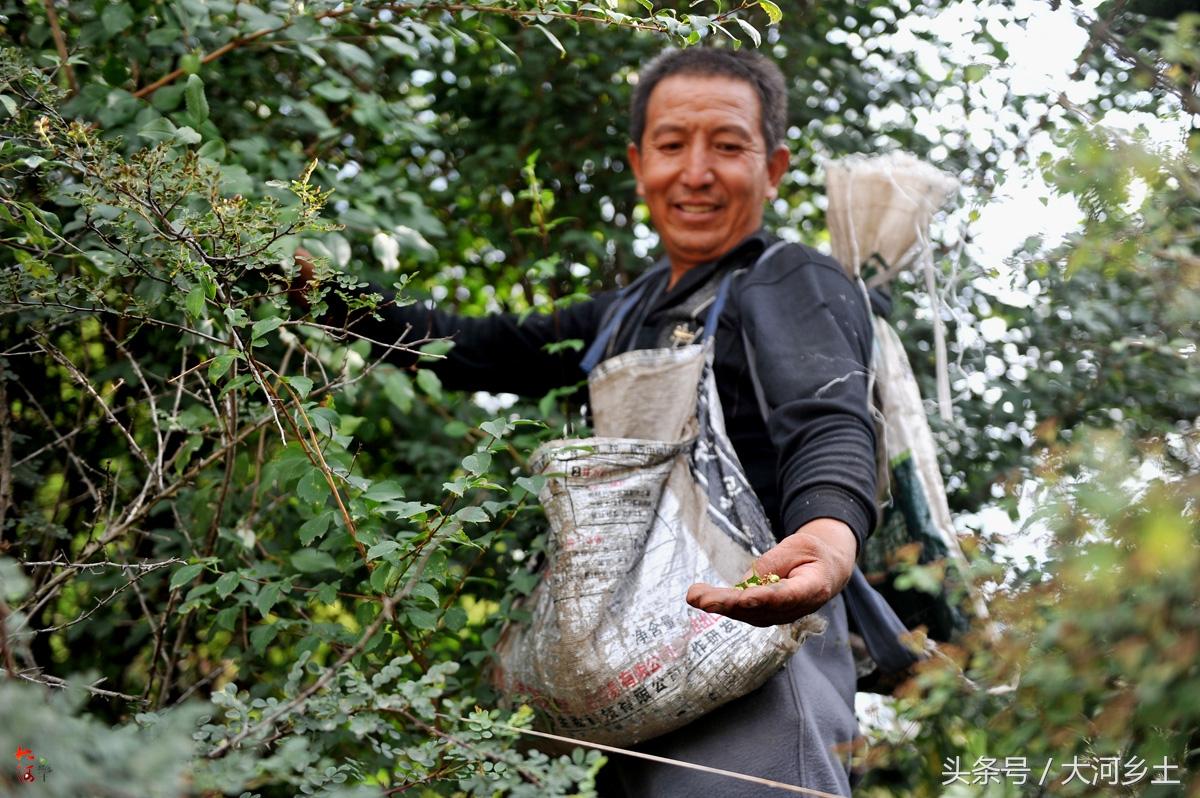 最新尿素价格行情动态更新🌱💸