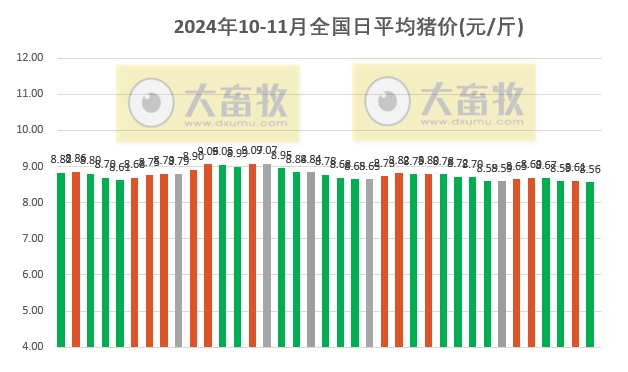 最新生猪价格走势分析与预测，今日市场趋势及预测未来猪价变动