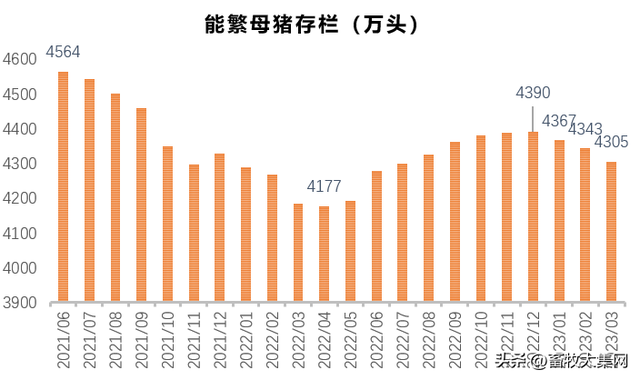 科技赋能智慧养殖，母猪存栏最新数据揭秘新时代畜牧业发展态势