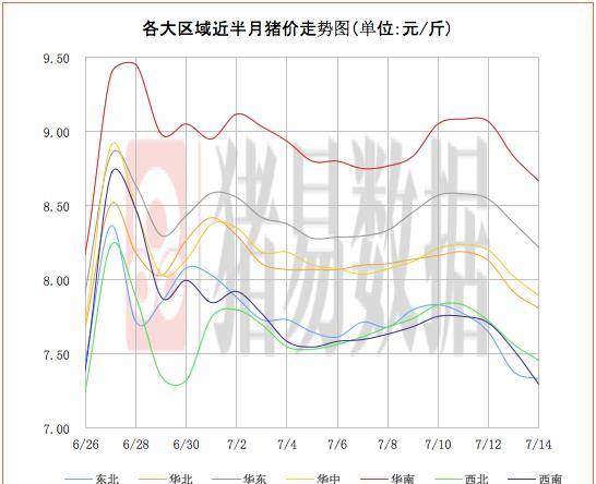 今日猪价最新预测及市场走势分析与展望