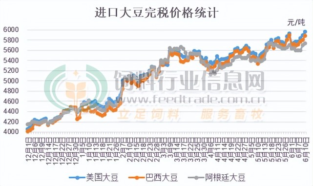 进口大豆最新行情与豆缘日常揭秘