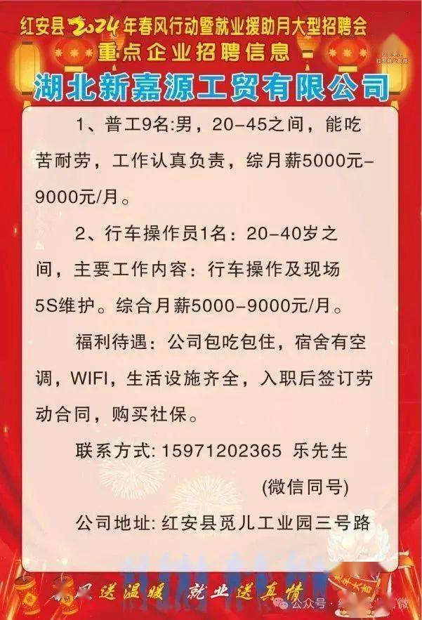 红安最新招聘信息全解析，获取指南与动态更新