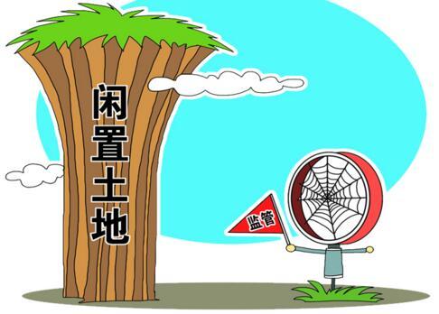 农村自留地最新政策详解，任务指南与技能学习手册