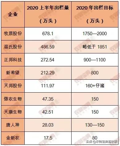 牧原股份最新动态，业绩、前景及各方观点深度解析