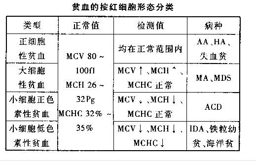 最新贫血分级标准科普分享，从轻度到重度，了解贫血的真相！