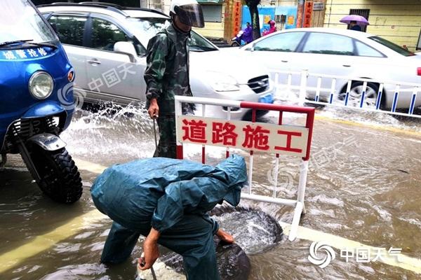 海南台风网最新消息更新，台风动态与警示