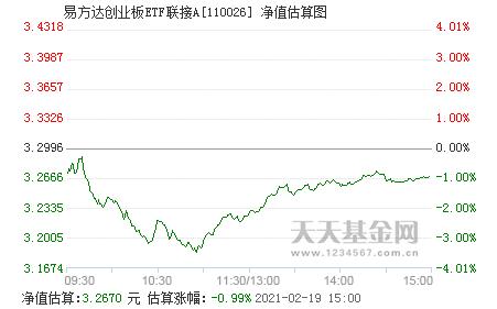 今日最新净值探讨，关于110022基金净值查询