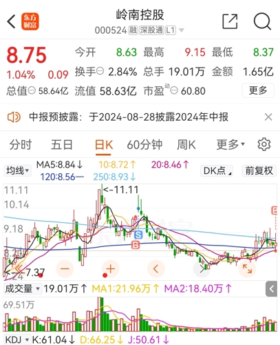 岭南控股最新动态速递，重磅消息📢🚀