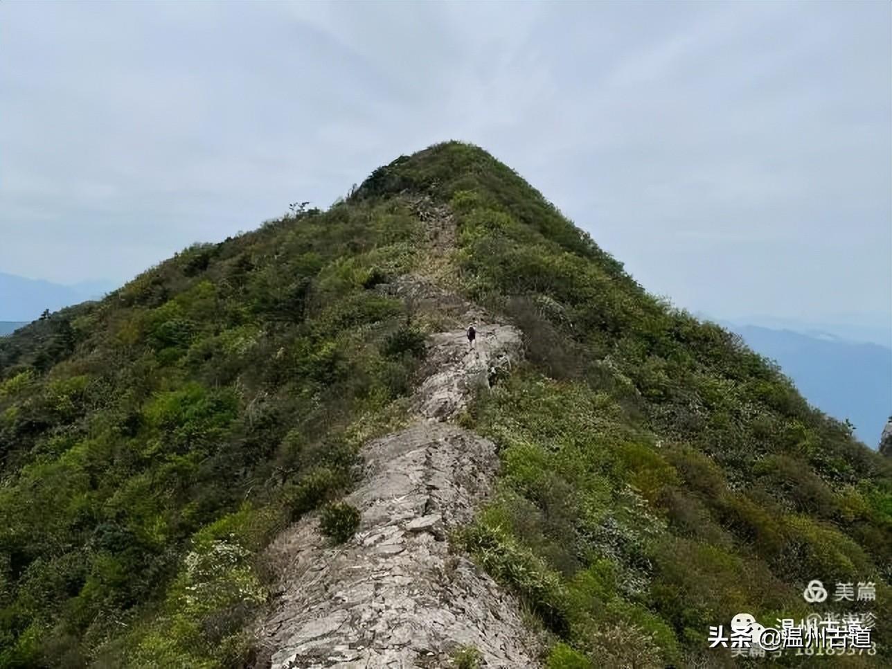 建筑设计防火规范最新版，科技守护安全，防火触手可及