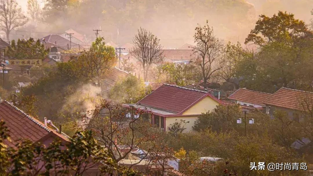 最新粤语电视剧，自然美景的治愈之旅，探寻内心平和与宁静的旅程