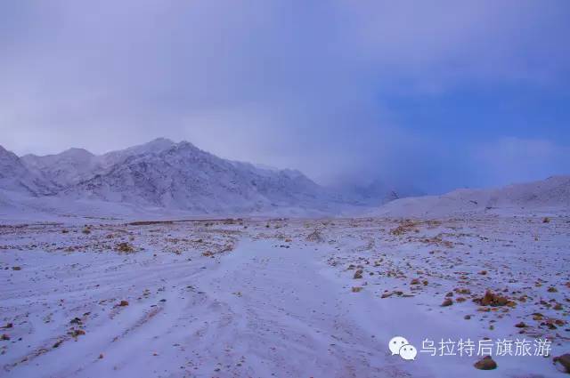 油费调价引发新旅程，启程探索自然美景！