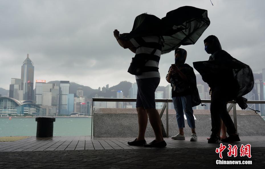 香港风球最新动态，科技新品引领生活新风潮