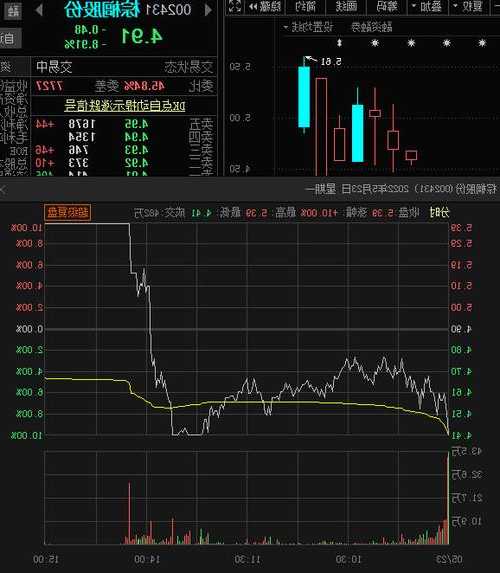 棕榈股份最新动态解析，跟进股市与投资决策的关键指南