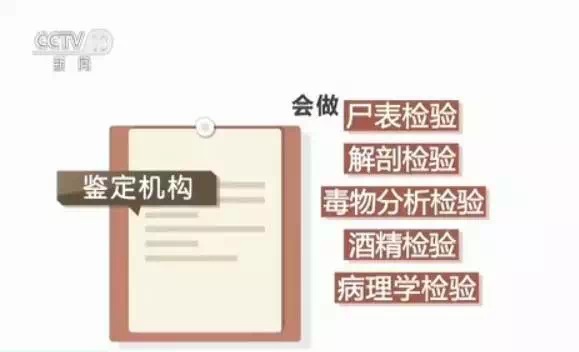 战事新闻最新消息获取与分析指南