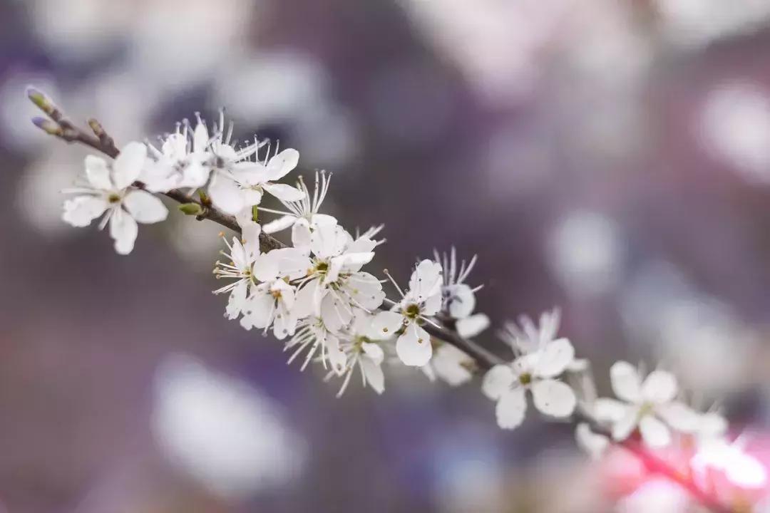 最新一期等着我，自然美景探索之旅，寻找内心的平和与宁静