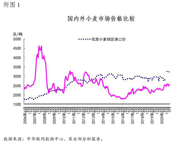 国际小麦价格最新行情，变化中的机遇与挑战，学习与自信的舞蹈之路