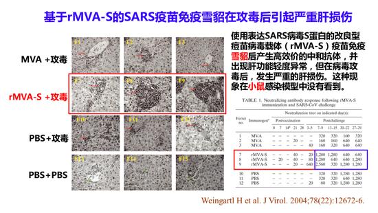 加拿大新冠疫情最新消息详解，步骤指南与动态更新