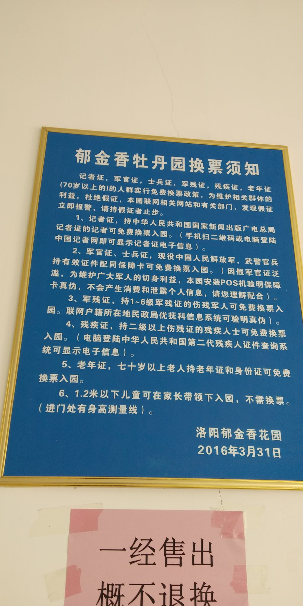 二级残疾证最新政策探索与小巷独特小店发现之旅