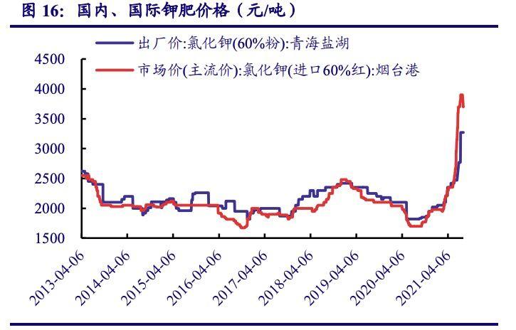 农业繁荣背后的秘密，钾肥价格行情最新动态与绿意盎然的发展态势分析