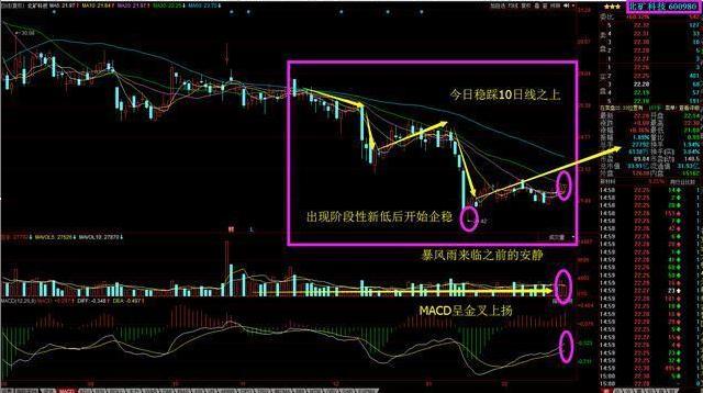 天山股份最新动态，自然美景探索之旅，心灵宁静的启程