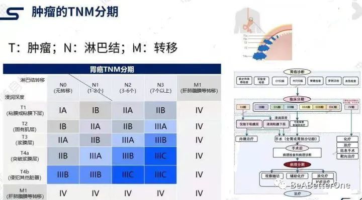 最新TNM分期标准及其步骤指南解析