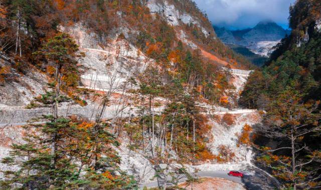 PPX最新，自然美景之旅，探寻内心平和与宁静的治愈之旅