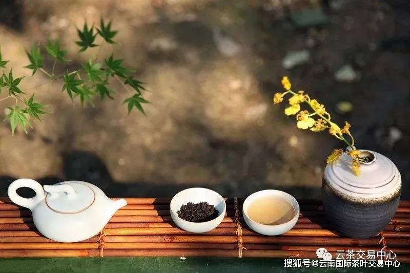 茶社最新,茶社最新，如何成为茶道达人