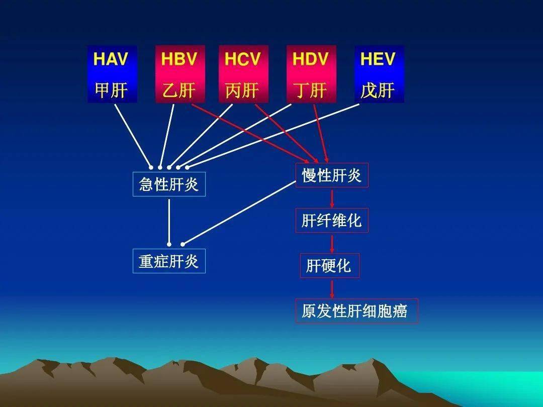 肝炎最新概述与研究动态，科普解读与最新进展