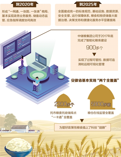 粮食最新动态，背景追溯、重大事件与当代地位的见证