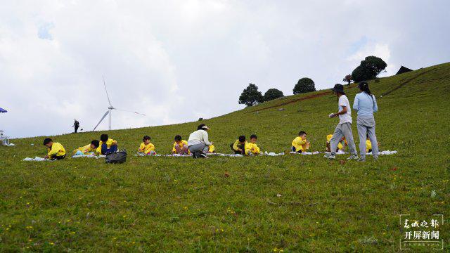 最新小苗，自然美景的轻松探索之旅