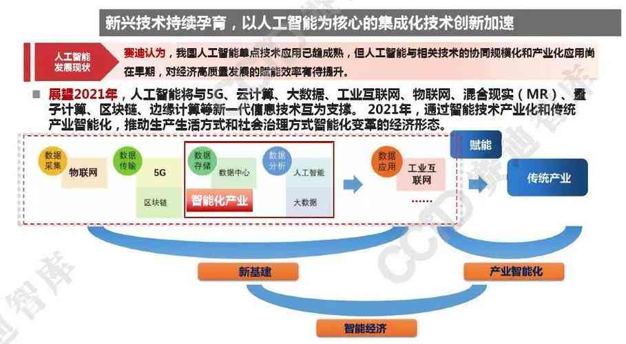 Luya最新动态，探索前沿技术与发展趋势