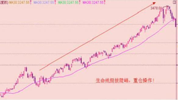 牛市最新动态，市场走势、机遇与挑战全面解析