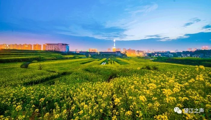 望江最新盛景，视觉盛宴震撼来袭！