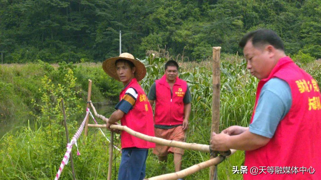 水域安全与个人防护三大要点解析，落水问题最新探讨