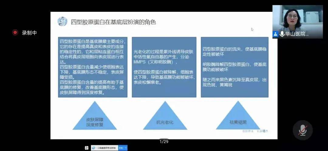 深度解析，向度的最新背景、重要事件与地位影响