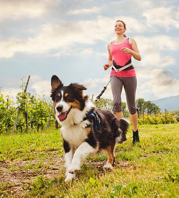 最新狂犬病全面解读，预防、治疗与防治策略探讨