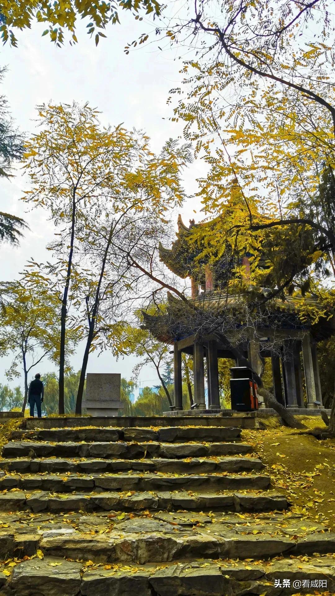 咸阳最新房价楼盘消息，与自然美景的邂逅之旅