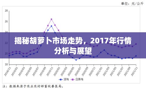 最新胡萝卜价格走势图分析与展望，趋势、分析及预测