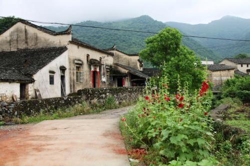 固原院子出售最新消息，小巷深处的独特风情小院独家报道