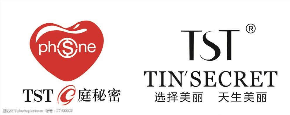 TST最新版本下载，小巷深处的独特风味探索之旅探索之旅
