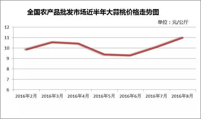 今日大蒜价格行情报告，最新价格分析与趋势预测