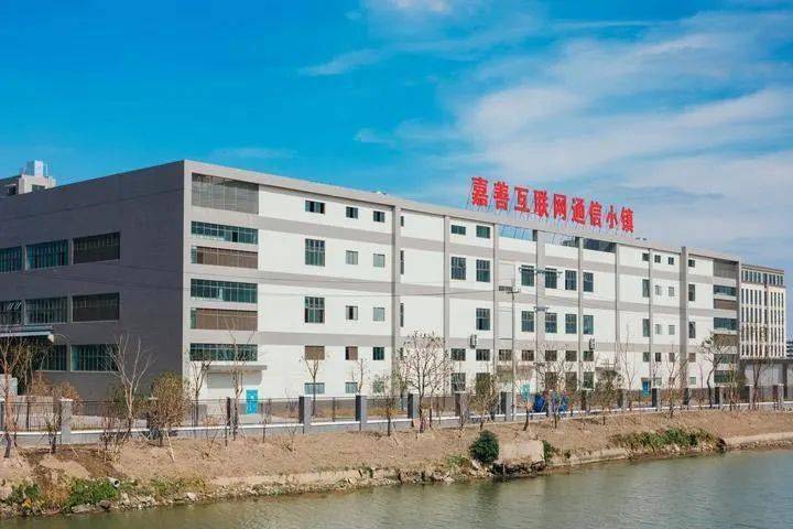 涡阳县最新人事任免，小镇友情与梦想中的变革
