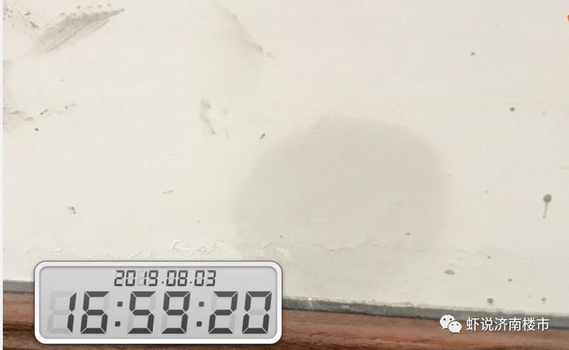 鲁能泰山七号最新动态，家的温馨与友情的奇遇之旅