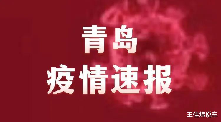 山东青岛疫情最新动态更新，实时关注疫情进展