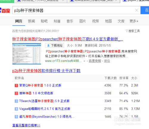 最新种子搜索，探索与反思之旅