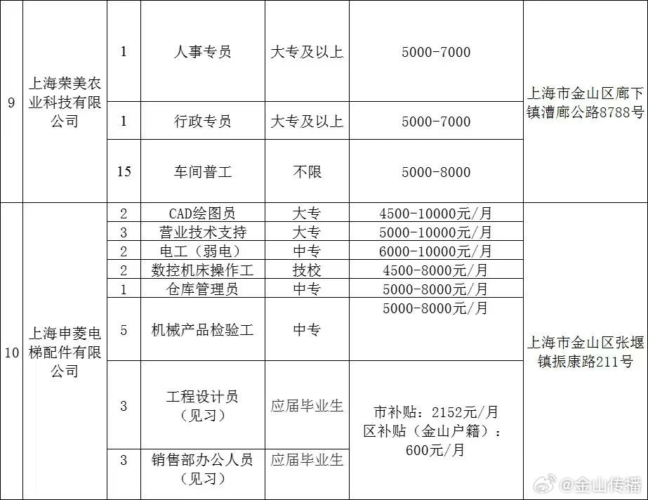 上海金山最新招聘揭秘，小巷中的职场宝藏探索之旅！