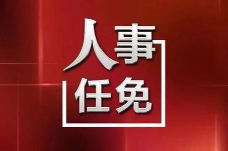 河北最新人事任免，时代背景下的重大人事调整