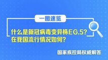 国产精品在线最新探讨，涉黄问题的深度解析与反思