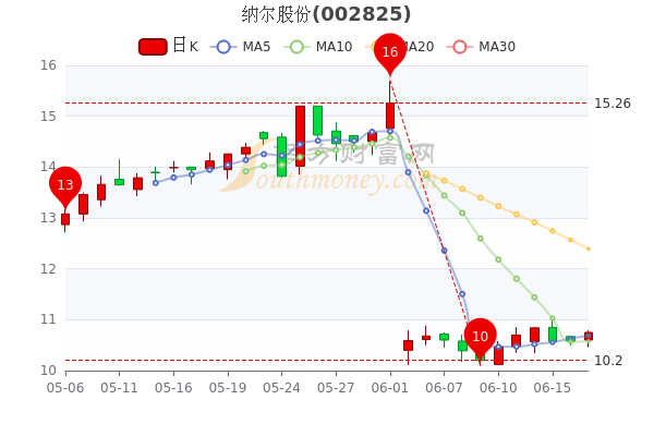 纳尔股份最新动态，消息更新与温馨日常故事同步呈现