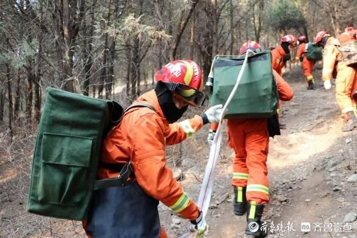 潍坊大火最新消息详解，步骤指南与初学者进阶指南